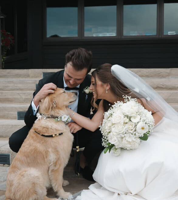 Pet of the Month Aspen