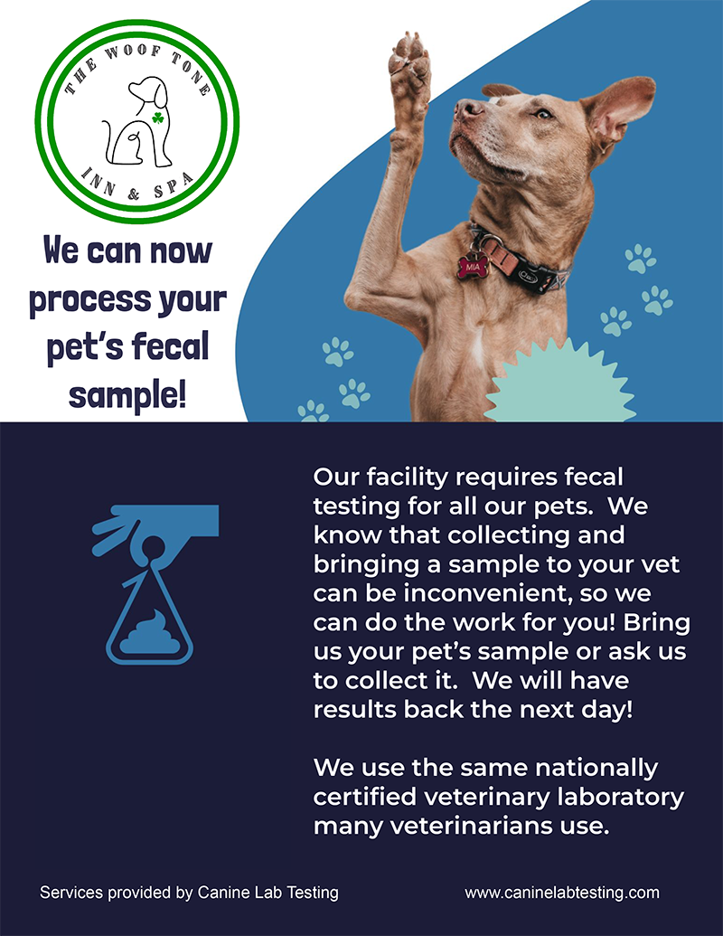 Fecal Testing at The Woof Tone Inn & Spa
